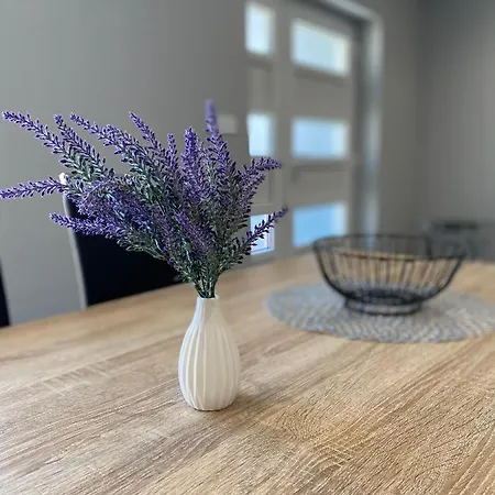 Apartment Maleo