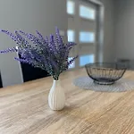 Apartment Maleo