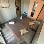 شقة Maleo